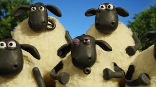 Shawn the sheep | championship | 1080p