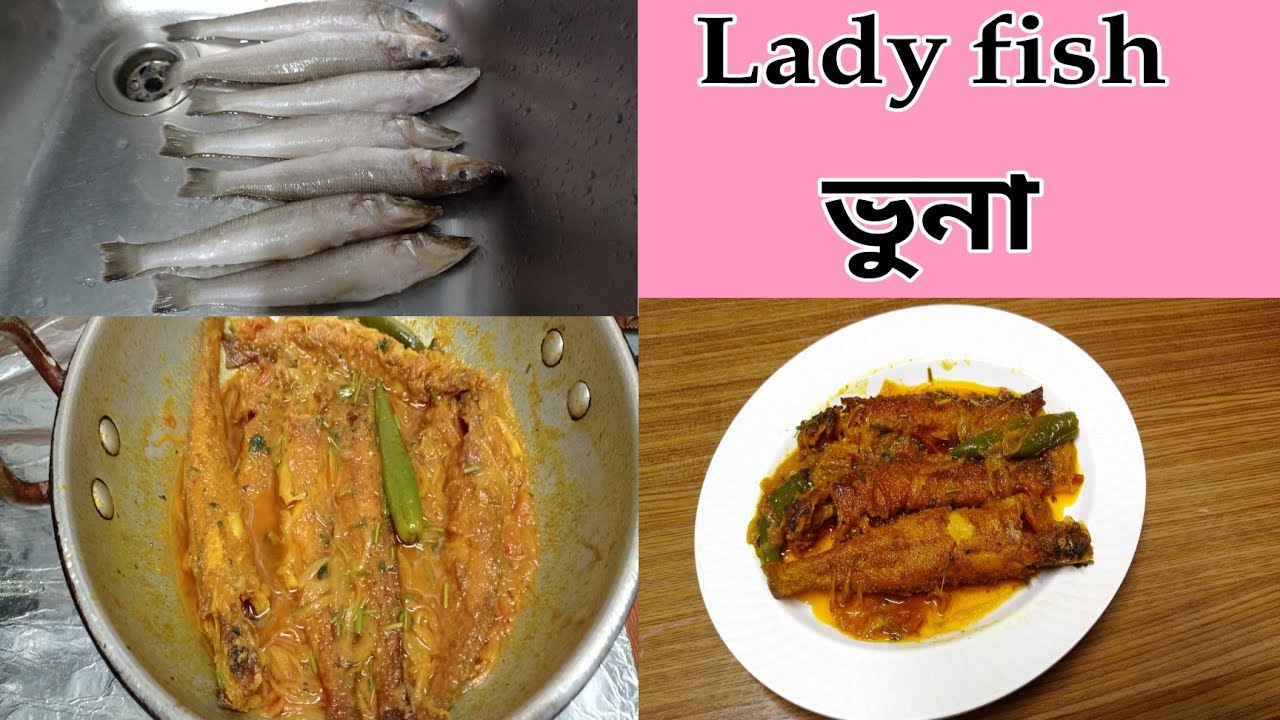 Lady fish ভুনা রেসিপি//@Asia's daily cooking and tips - YouTube