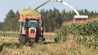 картинка: Заготовка силоса 2025: CLAAS Jaguar 870, МАЗ, МТЗ | Сельское хозяйство