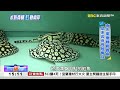 兩岸產業與中國地方旅遊報導，另關注川習會相關消息