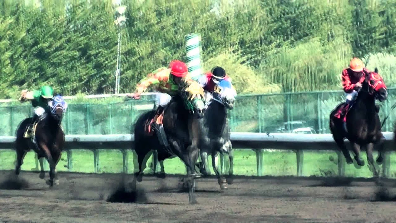 FLY-Y & TURBIN - PIFF UNIT WEST- FREESTYLE (FREE WAZ)