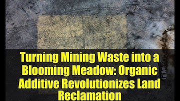 Turning Mining Waste into a Blooming Meadow: Organic Additive Revolutionizes Land Reclamation