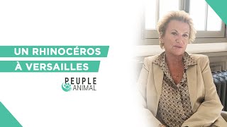 Roman : "Un rhinocéros à Versailles" par Alexandra de Broca Details