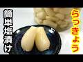 美味しくて簡単!らっきょうの塩漬け/Delicious and easy! How to make salted pickled shallots #らっきょう#らっきょうの漬け方#大韮#サトニラ