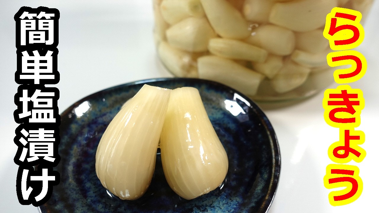 美味しくて簡単!らっきょうの塩漬け/Delicious and easy! How to make salted pickled shallots #らっきょう#らっきょうの漬け方#大韮#サトニラ