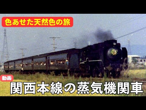 4721⑥C6246 カツミ　ジャンク　蒸気機関車　タム6036 セムフ　トラ 4721⑥C6246 カツミ ジャンク 蒸気機関車 タム6036 セムフ トラ