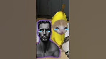 The Story of Banana Cat😹🍌｜Help cats with GIGACHAD💪