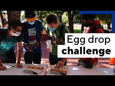 The Engineering egg