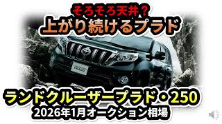 【そろそろ天井？】上がり続ける相場～ランドクルーザー250およびプラド2026年1月オークション相場