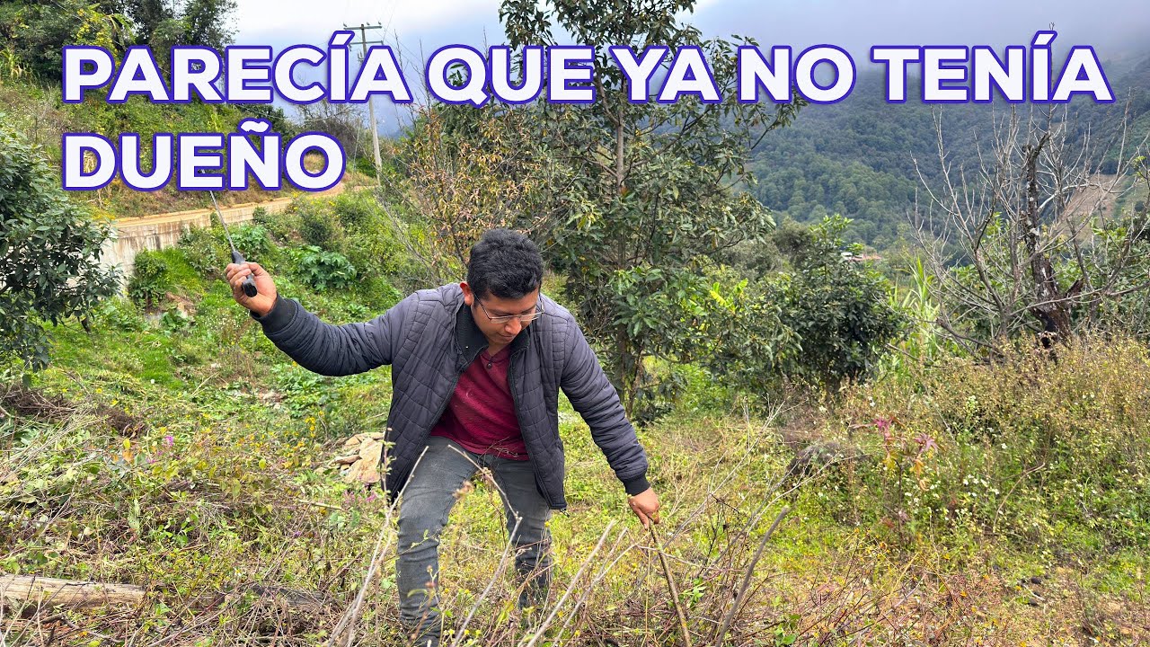 Madrugando para ir a trabajar, la lluvia nos quería espantar y por poco nos rajamos