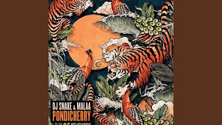 Pondicherry - DJ Snake, Malaa
