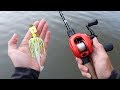 You Want To Catch BIG Bass? THROW THIS! (Bass Fishing Tips)