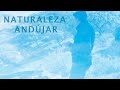 FAUNA EN LA SIERRA DE ANDÚJAR Videografía Antonio Granero