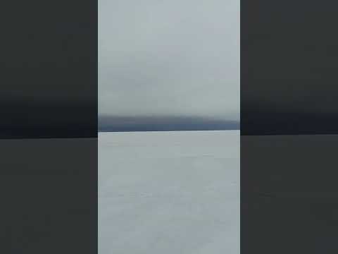 по-настоящему Белое море