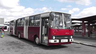 Retro autobus Ikarus 🚌