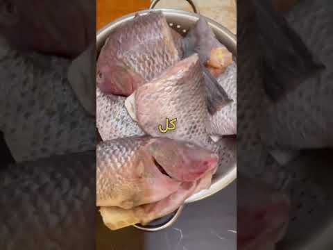اخلي سمك بلطي دايت