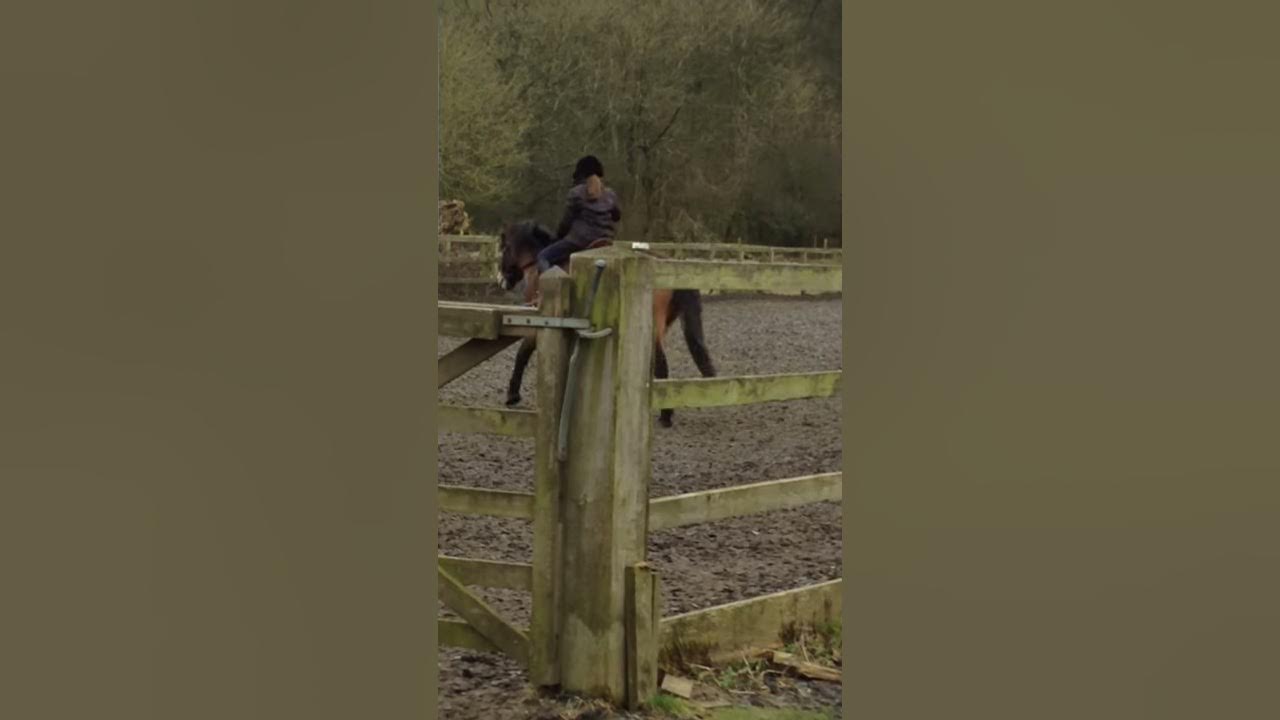 Ridding a stubborn horse YouTube