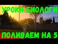 Обновление 5 сентября GTA 5 RP - Поливаем на 5, уроки биологии.