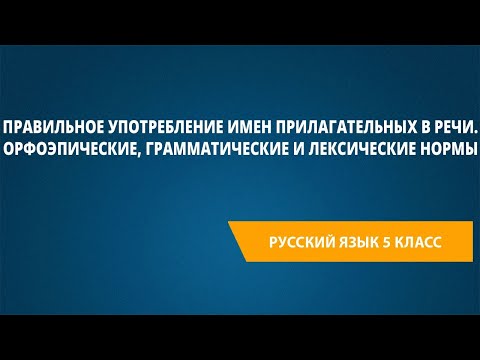 Правильное употребление имен прилагательных в речи. Орфоэпические,грамматические и лексические нормы