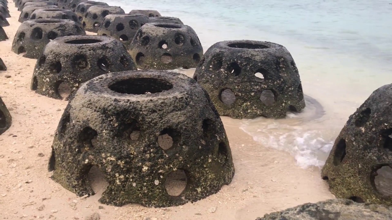 Borneo adventure part III Selingan Island turtles