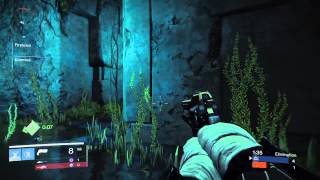 Destiny friend does Triple Collateral in Trials of Osiris