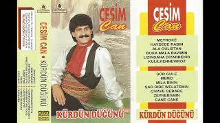 Cesim San Zeynebamın