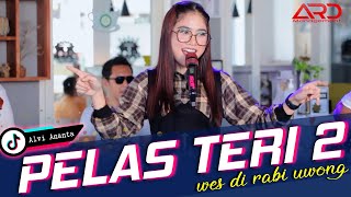 Alvi Ananta - Pelas Teri 2 | Wes Di Rabi Uwong  | (Official Music Video)