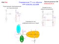 Определение ТТ и вторичных обмоток - Шаг 1