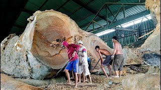 The largest and most terrifying trembesi wood from Pecuk Medan village was sawed in a sawmill