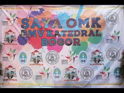 SINODE OMK BMV