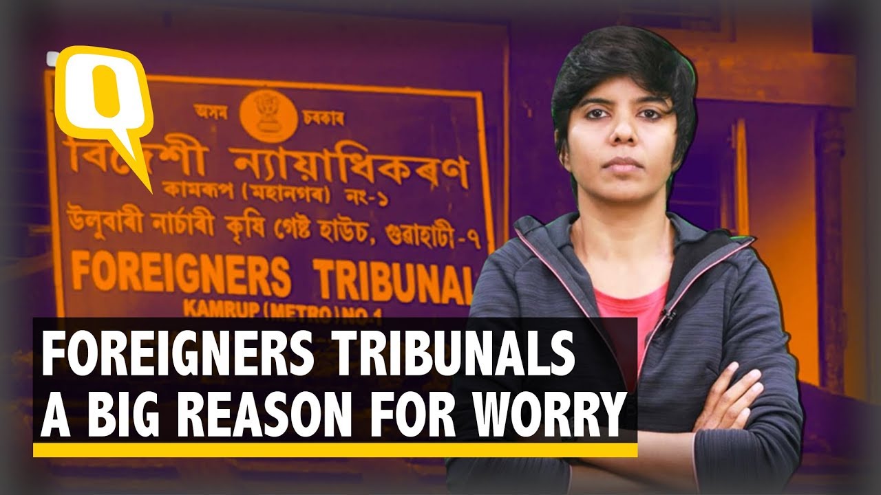 As NRC Not Off the Table, What About Flawed Foreigners Tribunals? | The Quint