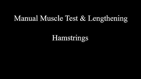 Manual Muscle Test & Lengthening - Hamstrings
