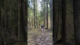 ваууу #kvd #winter #квадробика #furry #териан #териантропия #cat #therian