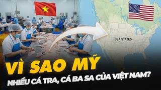 VÌ SAO MỸ NHẬP NHIỀU CÁ TRA, CÁ BA SA CỦA VIỆT NAM?