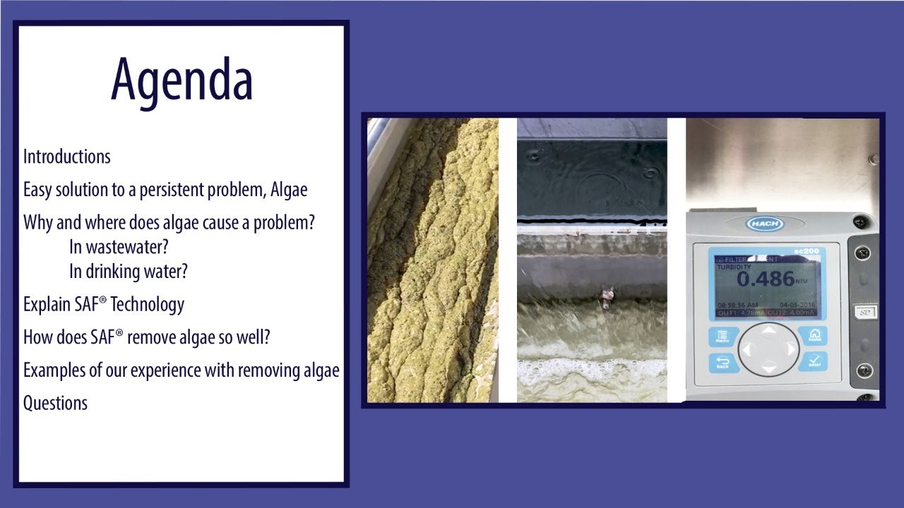 Easy solution to a persistent problem, Algae. - YouTube