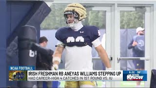 Freshman running back plays important role for Notre Dame