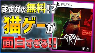 【クリアレビュー】今話題の猫×サイバーパンクな新作アクションADVが超面白い件...!!【Stray】 screenshot 2