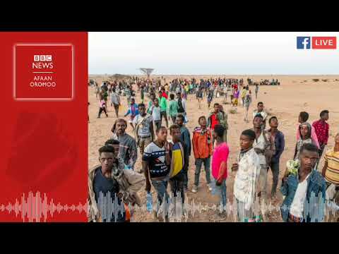 Download BBC News Afaan Oromo today Monday|May 11 2020|Oduu Afaan Oromoo Wixataa|VOA Afaan Oromo news