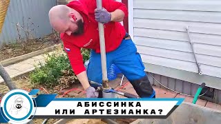 Абиссинка на песке или артезианка на известняке?