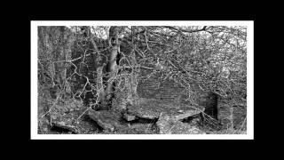 Jo Haines: Photographer