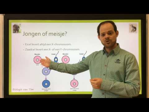 Video: Genetisch Geïsoleerde Populaties Gebruiken Om De Genomische Basis Van Ziekte Te Begrijpen