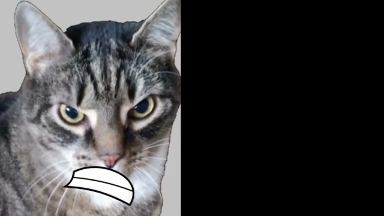 Негативные лица Барсика шаблон на 5 минут