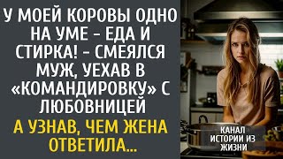 картинка: У моей коровы одно на уме - еда и стирка! - смеялся муж, уехав в «командировку» с любовницей…