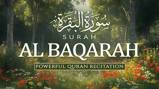 Download lagu Surah Al-Baqarah (سورة البقرة) | Full Beautiful Quran Recitation for Peace & Blessings | Alaa Aqel