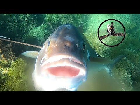 LA PESCA SUBACQUEA: ANDARE SOTTO COSTA IN PRIMAVERA #N.2-2023