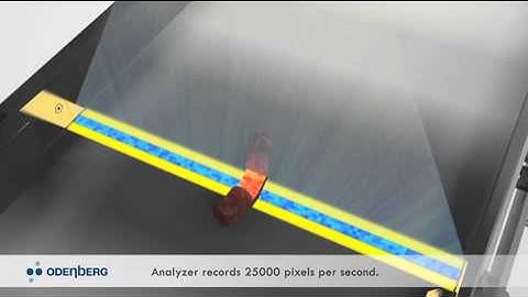 Fat Analysis Animation; ODENBERG QVision