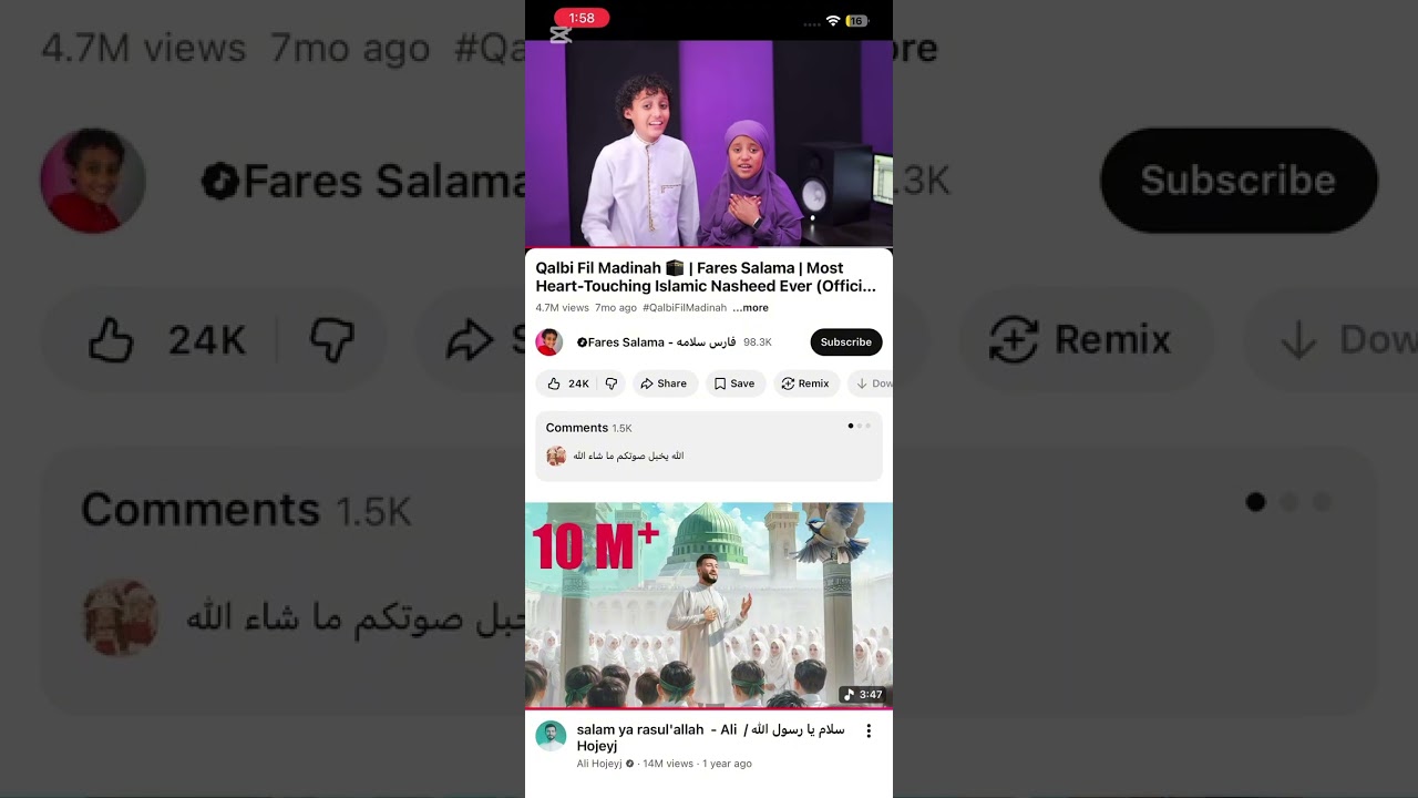 مجموعة اناشيد قلبي في المدينة