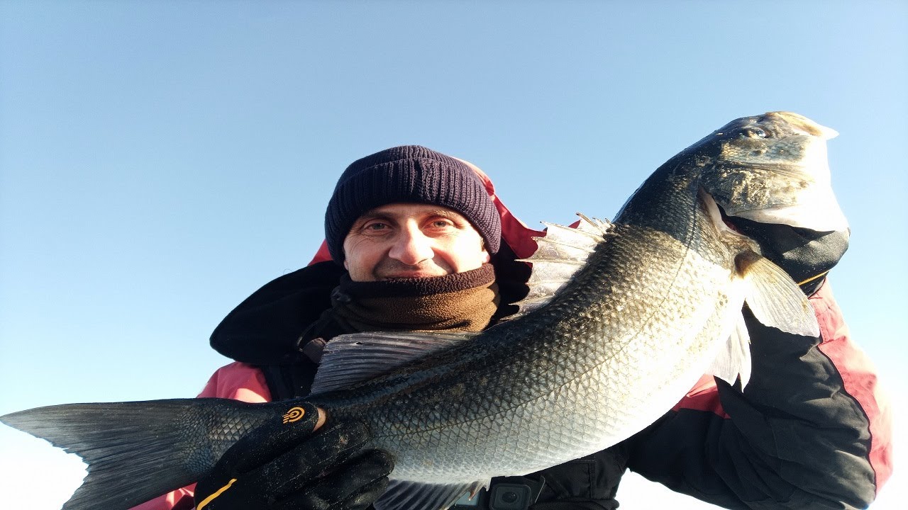 ΤΑ ΘΗΡΙΑ ΕΡΧΟΝΑΤΑΙ ΜΕ ΠΟΛΥ ΥΠΟΜΟΝΗ