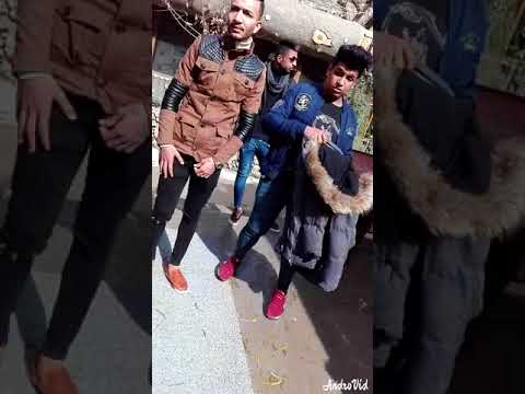 تيم حلبي ياصغيري