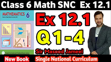 Class 6 Math SNC Exercise12.1 Q1-Q4 |Class 6 Math New Book Ex 12.1 |Single National Curriculum